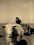 Katrien Barentsen tussen de schapen op Nieuw Erve